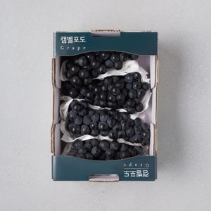  유명산지 캠벨 포도 1.5kg (박스)