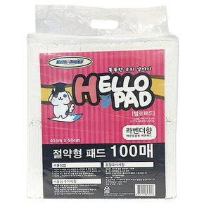 헬로 절약형 패드 100매