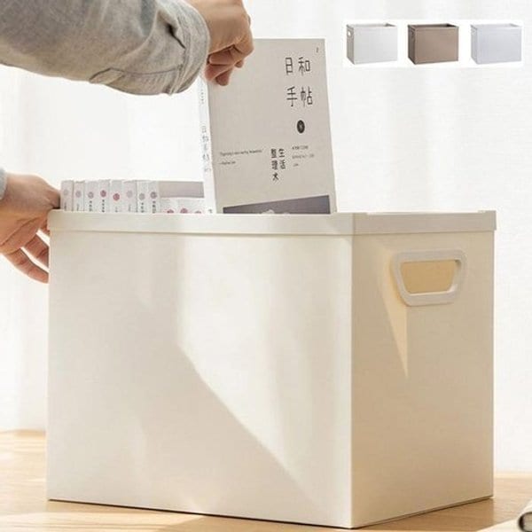 확대된 대표 image1