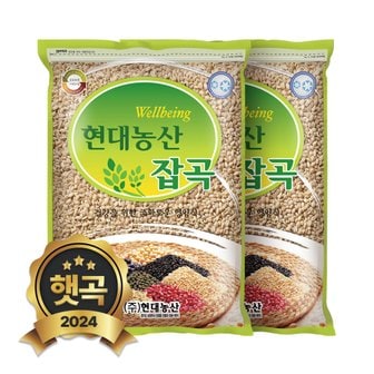 현대농산 2024년 햇곡 국산 늘보리 4kg (2kgx2봉) 겉보리 꽁보리밥