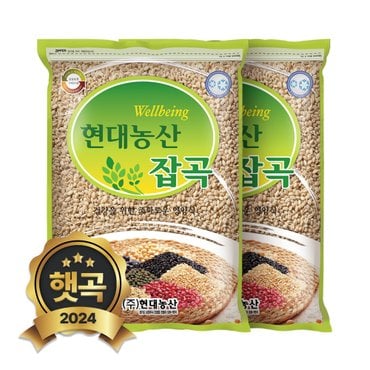 현대농산 2024년 햇곡 국산 늘보리 4kg (2kgx2봉) 겉보리 꽁보리밥