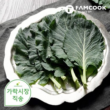 팸쿡 가락시장직송 쌈케일 300g