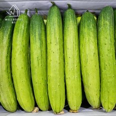 국내산 아삭하고 신선한 백오이 1kg(4-6개)