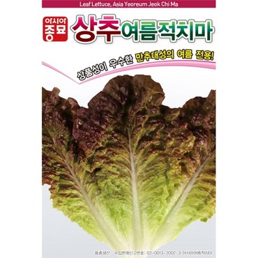 아시아종묘 상추씨앗종자 여름적치마(3000립)