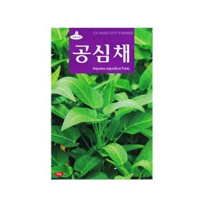 공심채키우기 7종 모닝글로리 식물키트