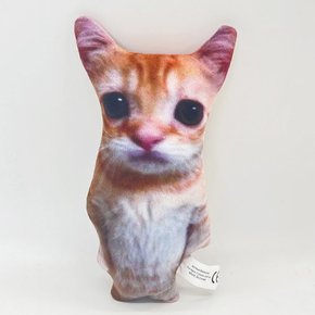 고양이 애착 인형 틱톡 밈 귀여운 동물인형 침대 쇼파쿠션 쓸데없는 쓸모없는 웃긴 선물