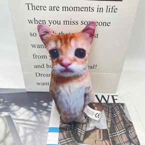 고양이 애착 인형 틱톡 밈 귀여운 동물인형 침대 쇼파쿠션 쓸데없는 쓸모없는 웃긴 선물