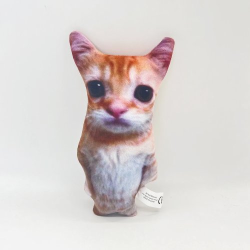 이미지4