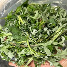 철따라농산물 산지직송 해풍맞고 자란 여수 거문도 해풍 쑥 2kg