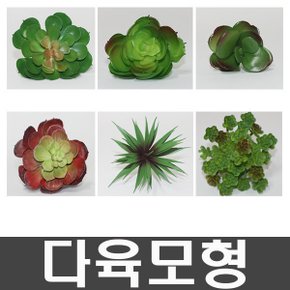 화분백화점 다육 식물 모형 조화