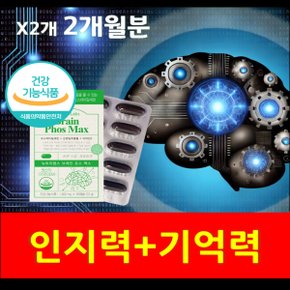 뇌 포스파티딜세린 PS 브레인 징코 항산화 비타민E 플라보놀배당체 60대