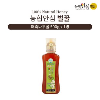 인정식탁 [농협안심벌꿀] 때죽나무 꿀 500g x 1병