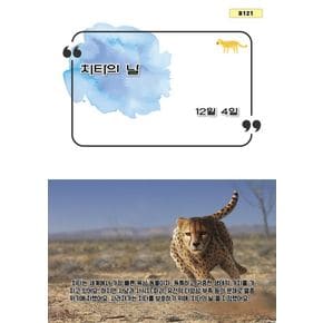 치타의 날