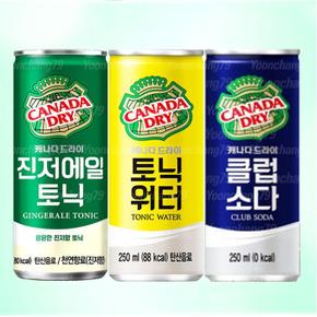 캐나다 진저에일/토닉워터/클럽소다 250ml x 60캔 택1 (S15832308)