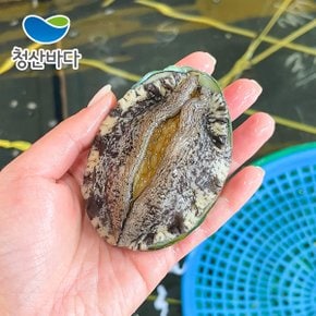 완도 활전복 중복 14-15미 1.5kg (약 21-23마리) (선물포장가능) 양식