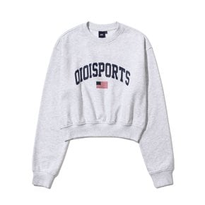 FLAG LOGO CROP SWEATSHIRT_LIGHT GREY