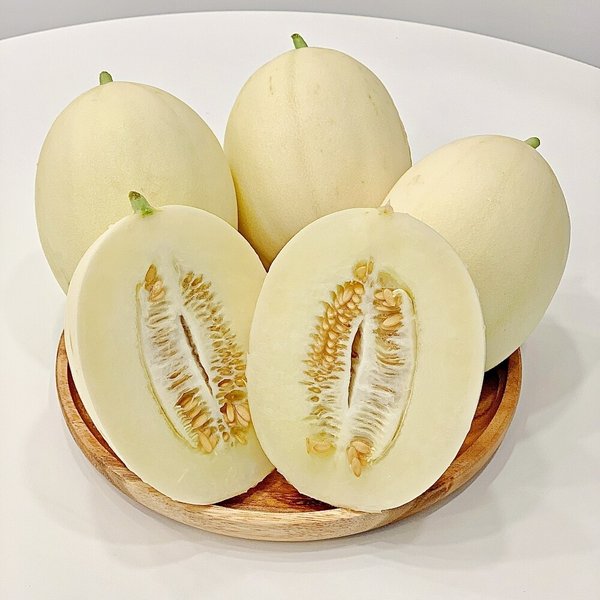 [4월 17일 첫출고] 산지직송 경북 고령 성산 설향멜론 2kg