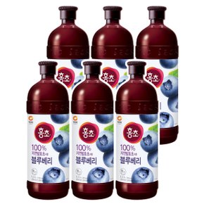 홍초 블루베리 1.5L x 6개
