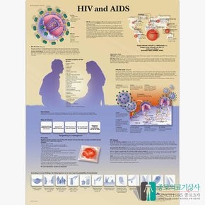 3B Scientific 에이즈의 이해 인체해부차트 VR1725 HIV AIDS 병원액자