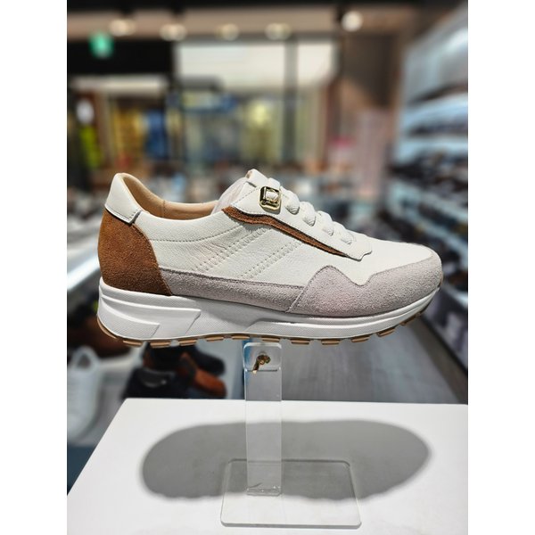 [파주점] 미셸 by 탠디 여성스니커즈 기높이5cm 운동화  x25055e