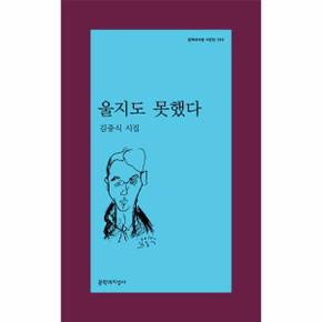 울지도 못했다-513(문학과지성시인선)