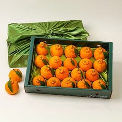 제주 한라봉 중대과 5kg