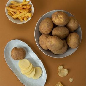 26년 포슬포슬 햇감자 5kg 중[36110390]