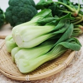 국내산 청경채 4kg