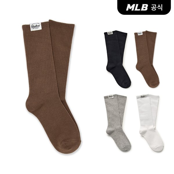 확대된 대표 대표이미지