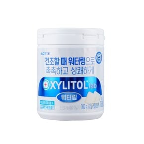 롯데 자일리톨 랩워터링 100g 용기