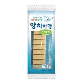 양치하개 스케일링 1P 반려견 덴탈껌 맛보기용