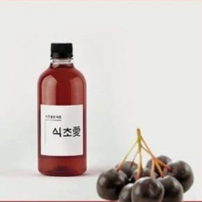 천연 전통옹기 자연발효 비니거 수제 아로니아식초 1000ml