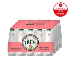 [본사직영] 트레비 자몽 ECO(무라벨) 350ml x 20펫