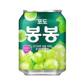 해태음료 포도봉봉 캔 238ml x 24