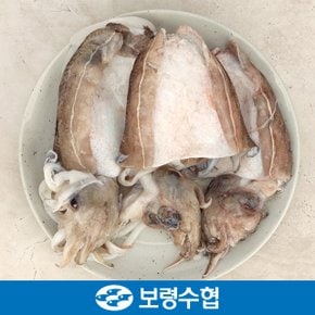 국내산 손질 갑오징어 1kg(4~6미)