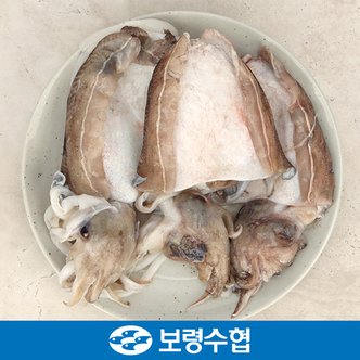 보령수협 국내산 손질 갑오징어 1kg(4~6미)