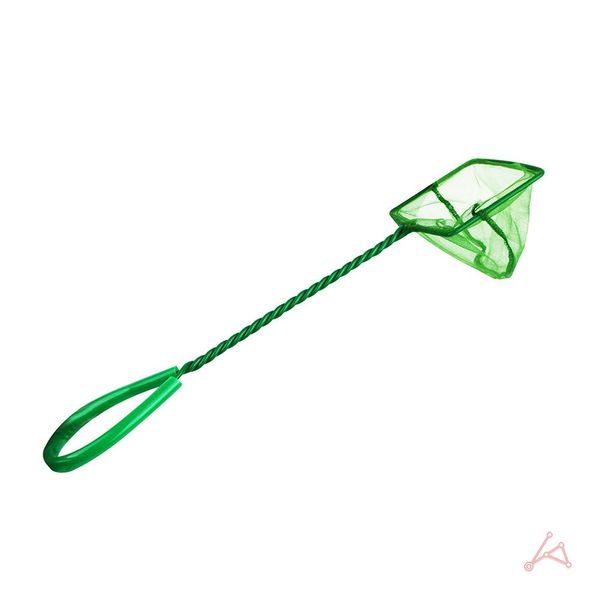 확대된 대표 이미지1