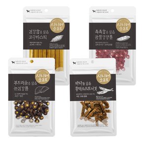 퍼피아이 시니어 소프트 100g 강아지간식