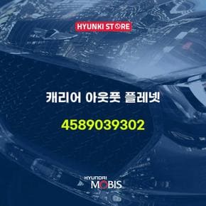 현대모비스캐리어 아웃풋 플레넷 (4589039302)