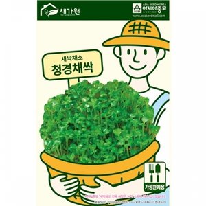 아시아종묘 새싹씨앗종자 청경채싹(1kg) 새싹채소