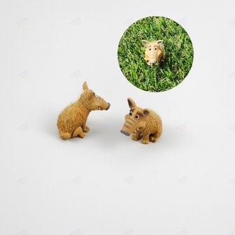 4. 미니 멧돼지 돼..