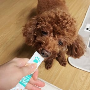 건국유업 짜먹는 펫 간식3종 12g x 5개입 (치즈/밀크/유산균) 강아지/고양이 간식