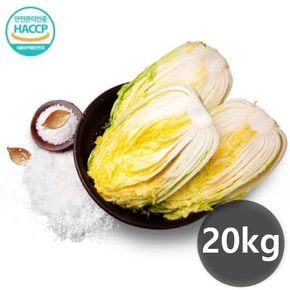 [예약배송][약속식품]절임배추20kg