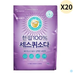 한입 100 세스퀴소다 과일 세정 세탁용 1KG X20