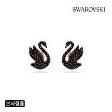 [본사정품/쇼핑백증정] Swan 블랙 스터드 귀걸이 5684608