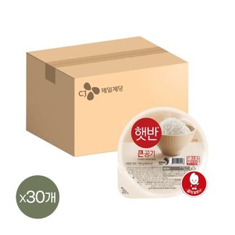 CJ제일제당 햇반 큰공기 300g x30개