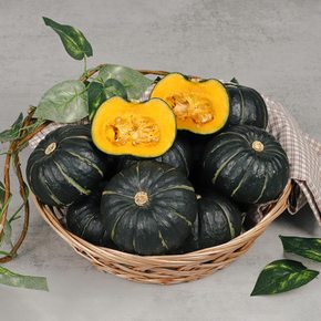 햇 제주 미니 밤호박 정품 1kg (2-5과)