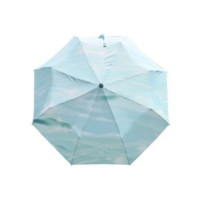 folding morning umbrella