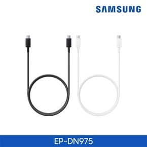 삼성전자 USB CtoC 45W 초고속충전 케이블 5A 1m EP-DN975