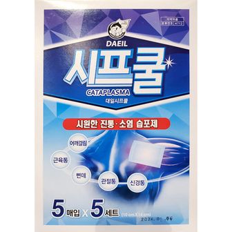 오너클랜 대일시프쿨 근육통 관절통 삔데 시원한 파스 5매 5입